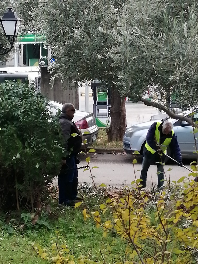 https://lamiakos-typos.gr/sites/default/files/field/image/article/album/img_20240110_120232.jpg